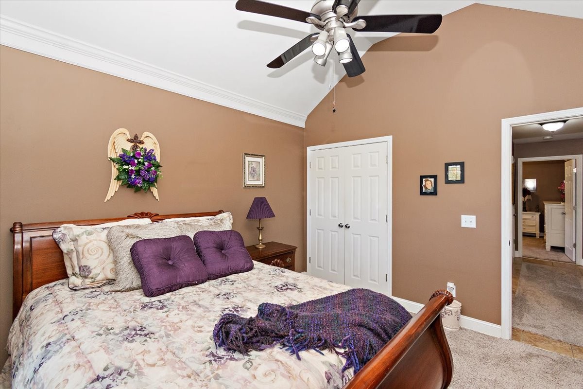 6 Warner Rd