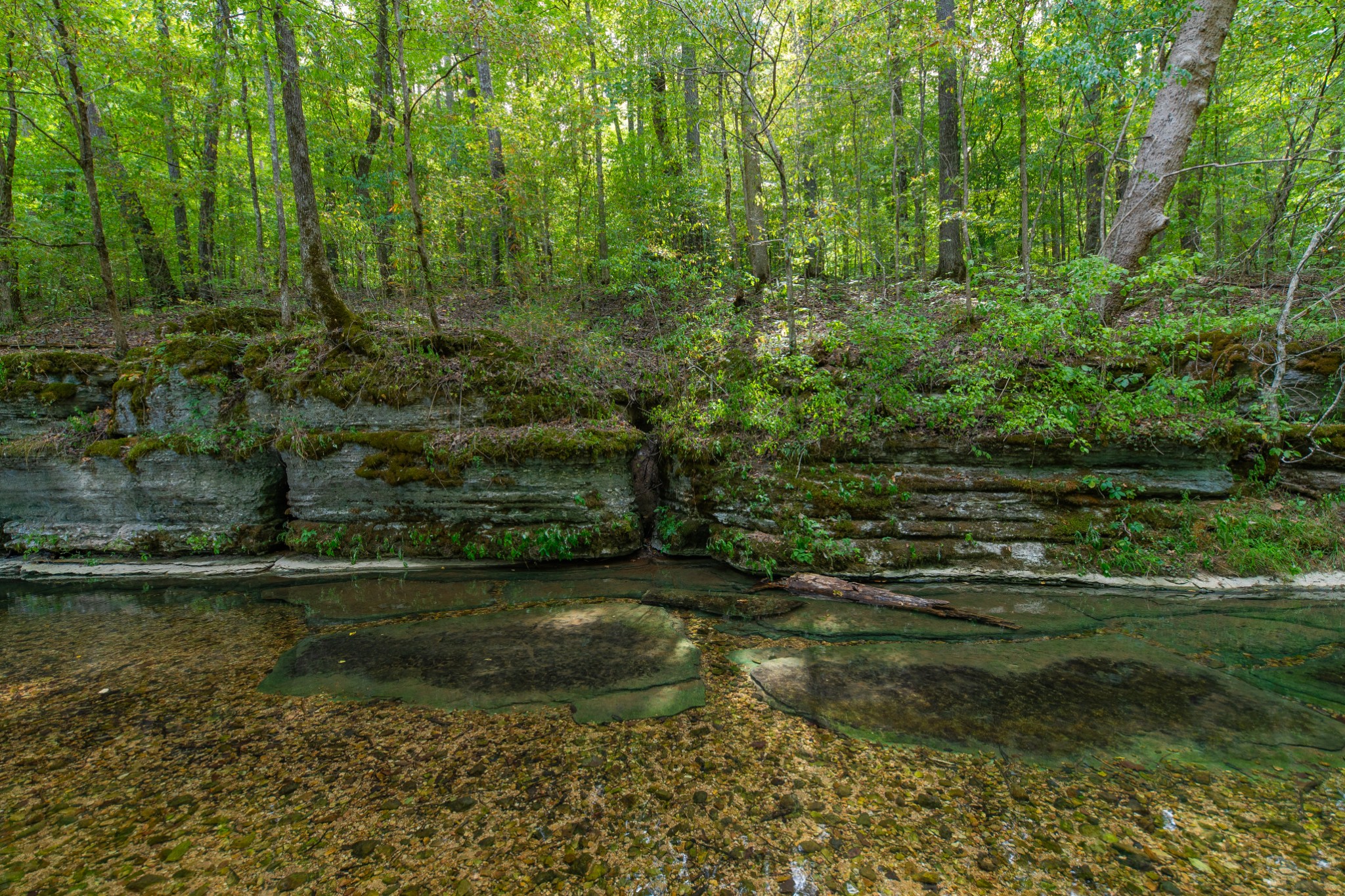 1526 Old Beech Creek Rd