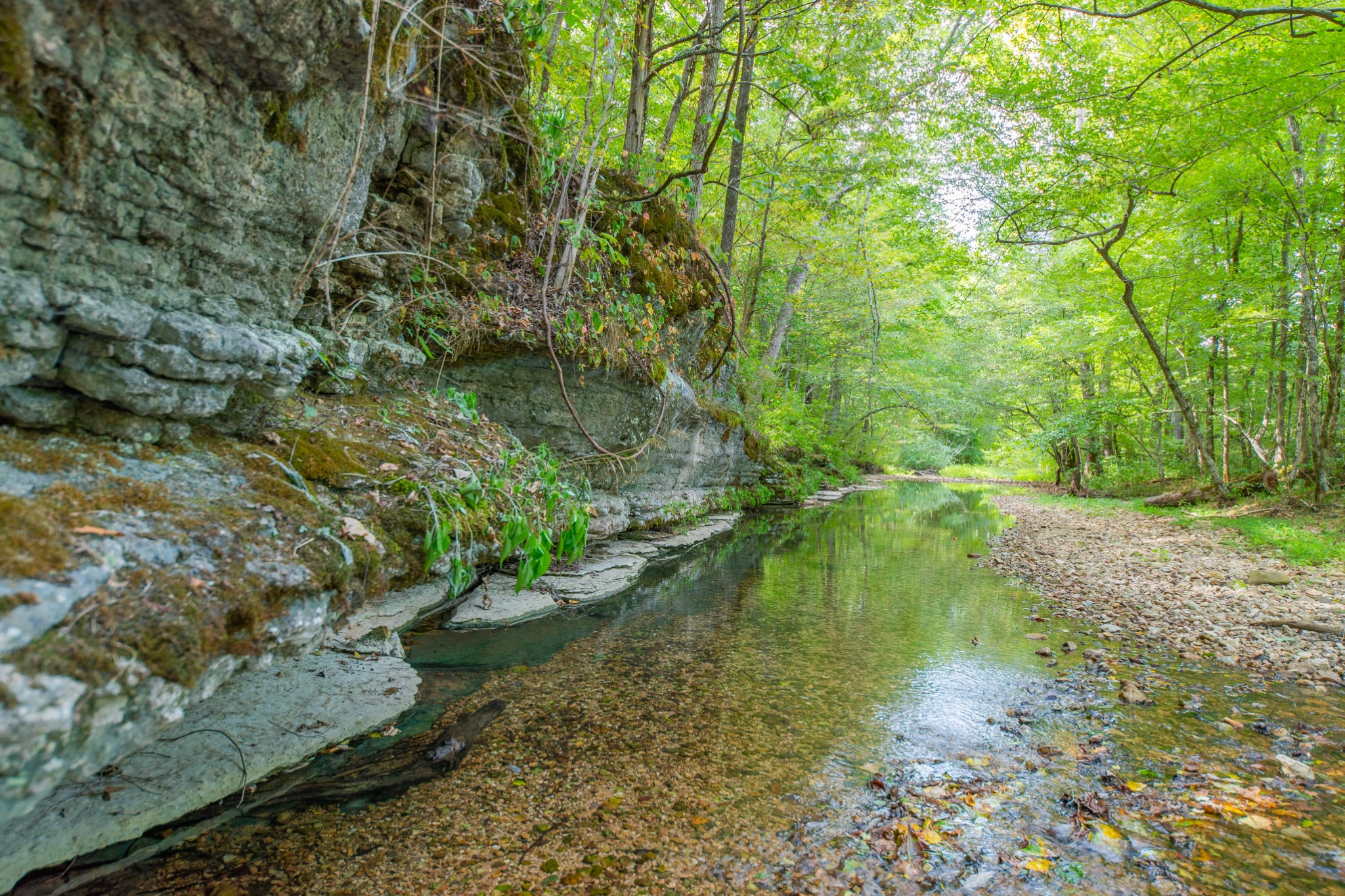 1526 Old Beech Creek Rd