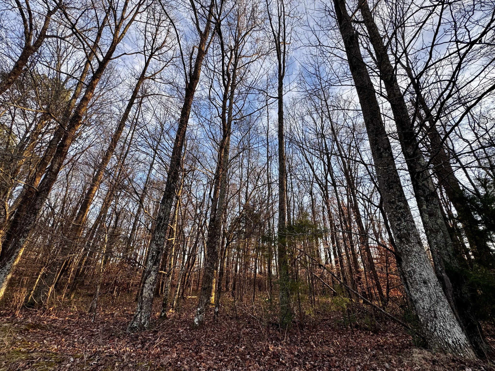 0 Bluff Rd