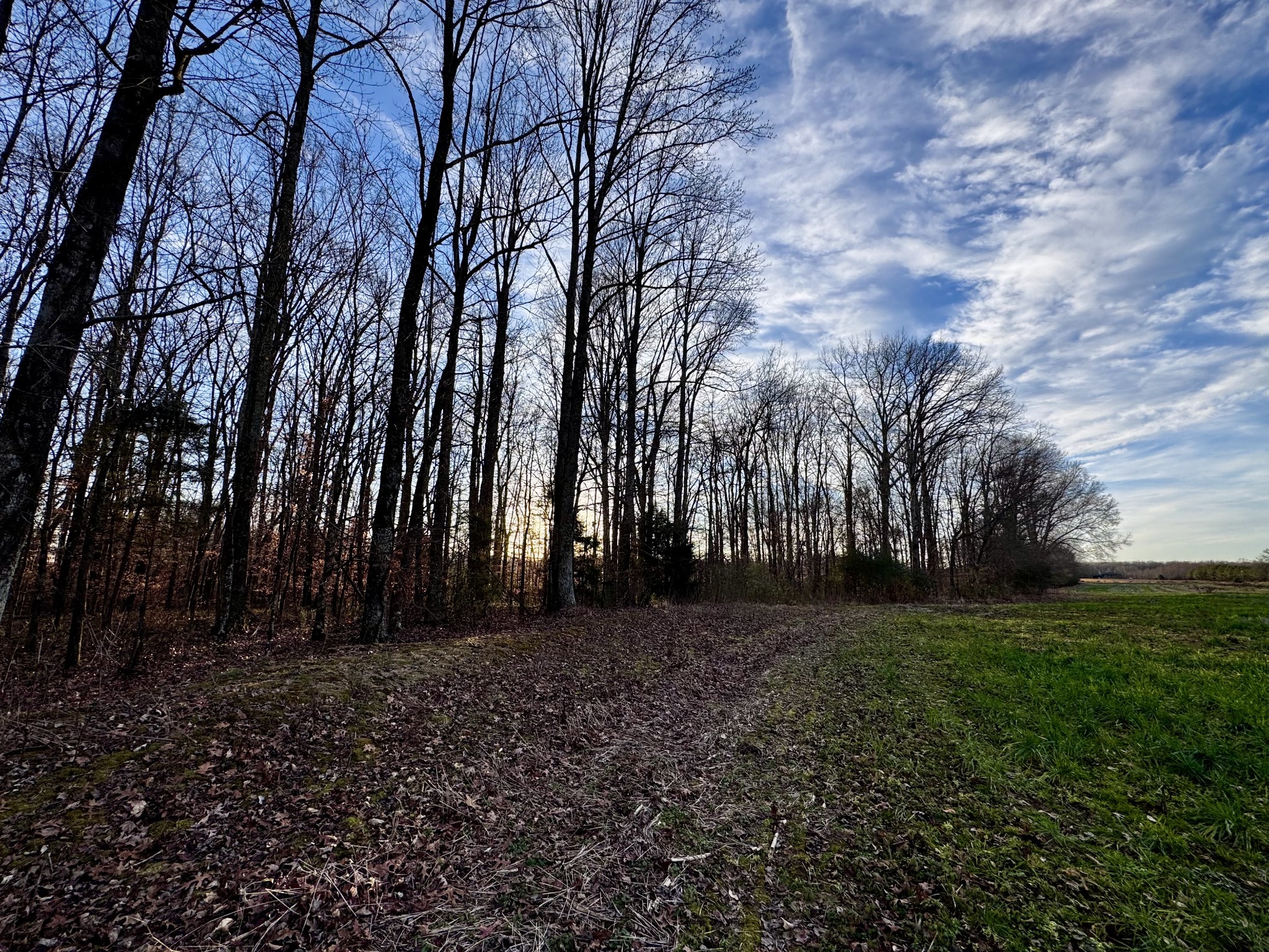 0 Bluff Rd