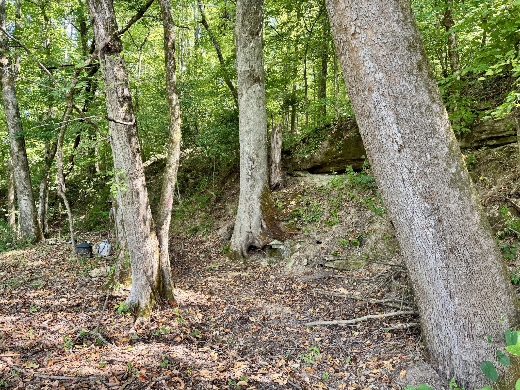 2280 Big Opossum Creek Rd