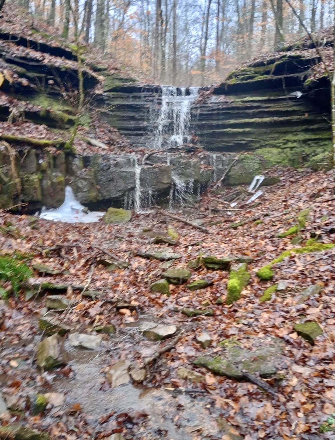 2280 Big Opossum Creek Rd