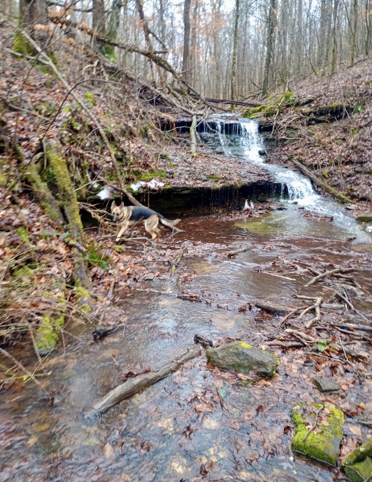 2280 Big Opossum Creek Rd
