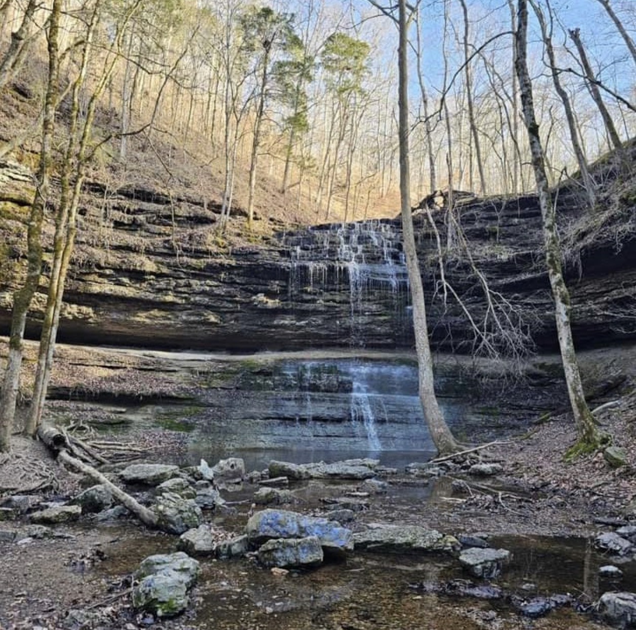 2280 Big Opossum Creek Rd