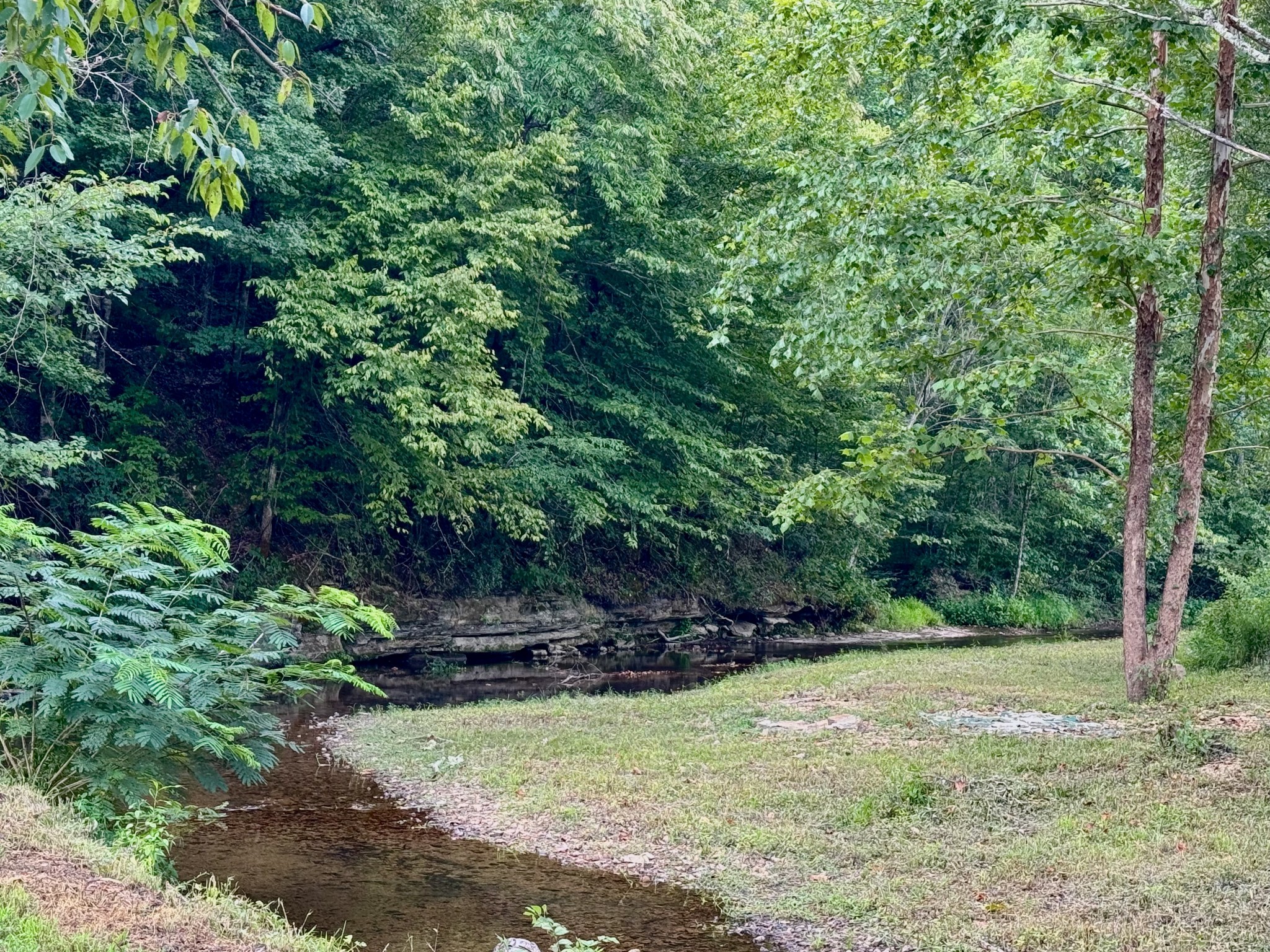 2280 Big Opossum Creek Rd