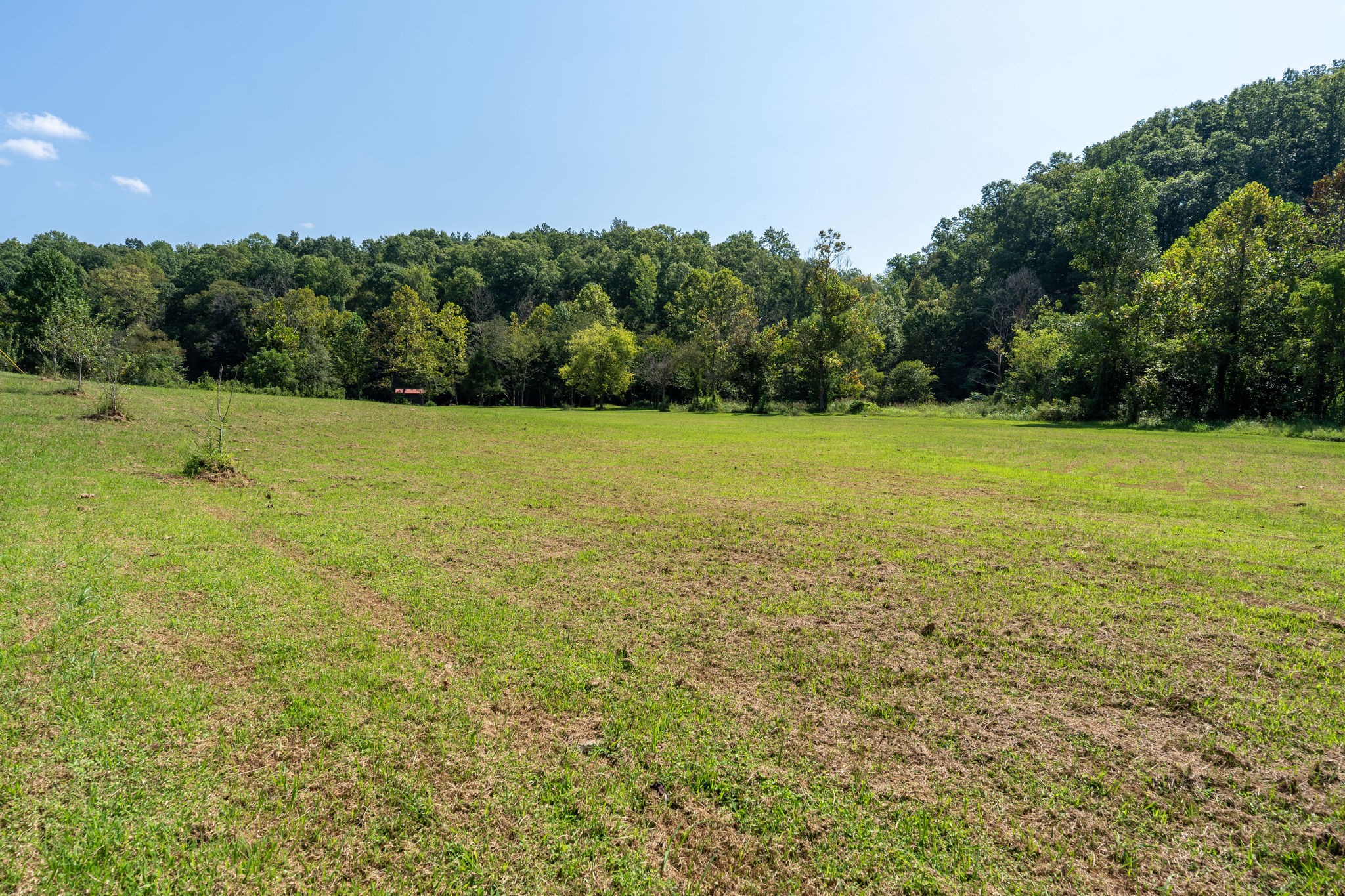 2280 Big Opossum Creek Rd