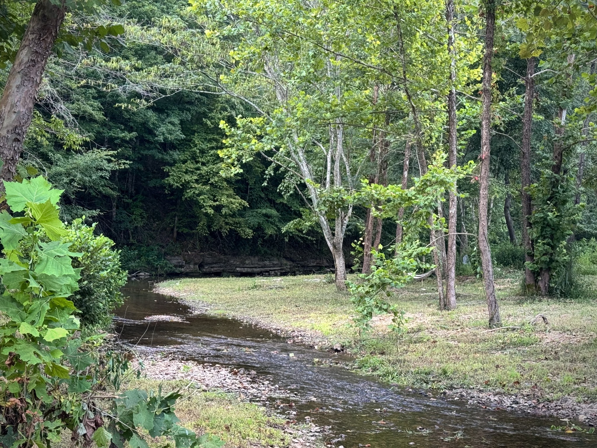 2280 Big Opossum Creek Rd