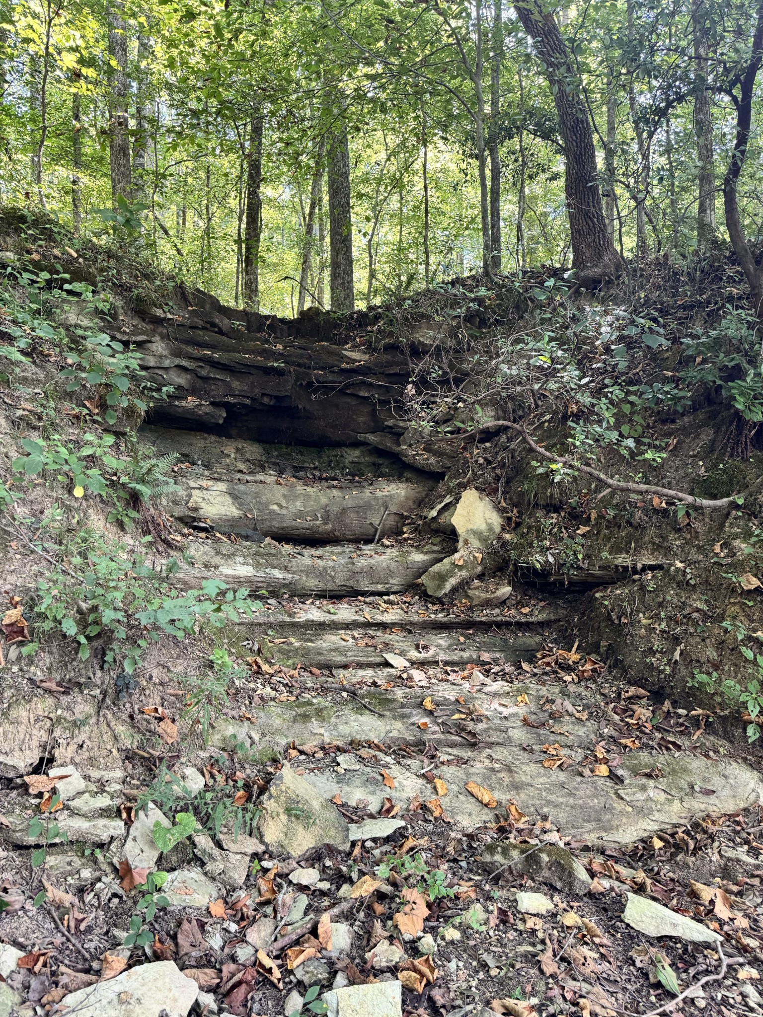 2280 Big Opossum Creek Rd
