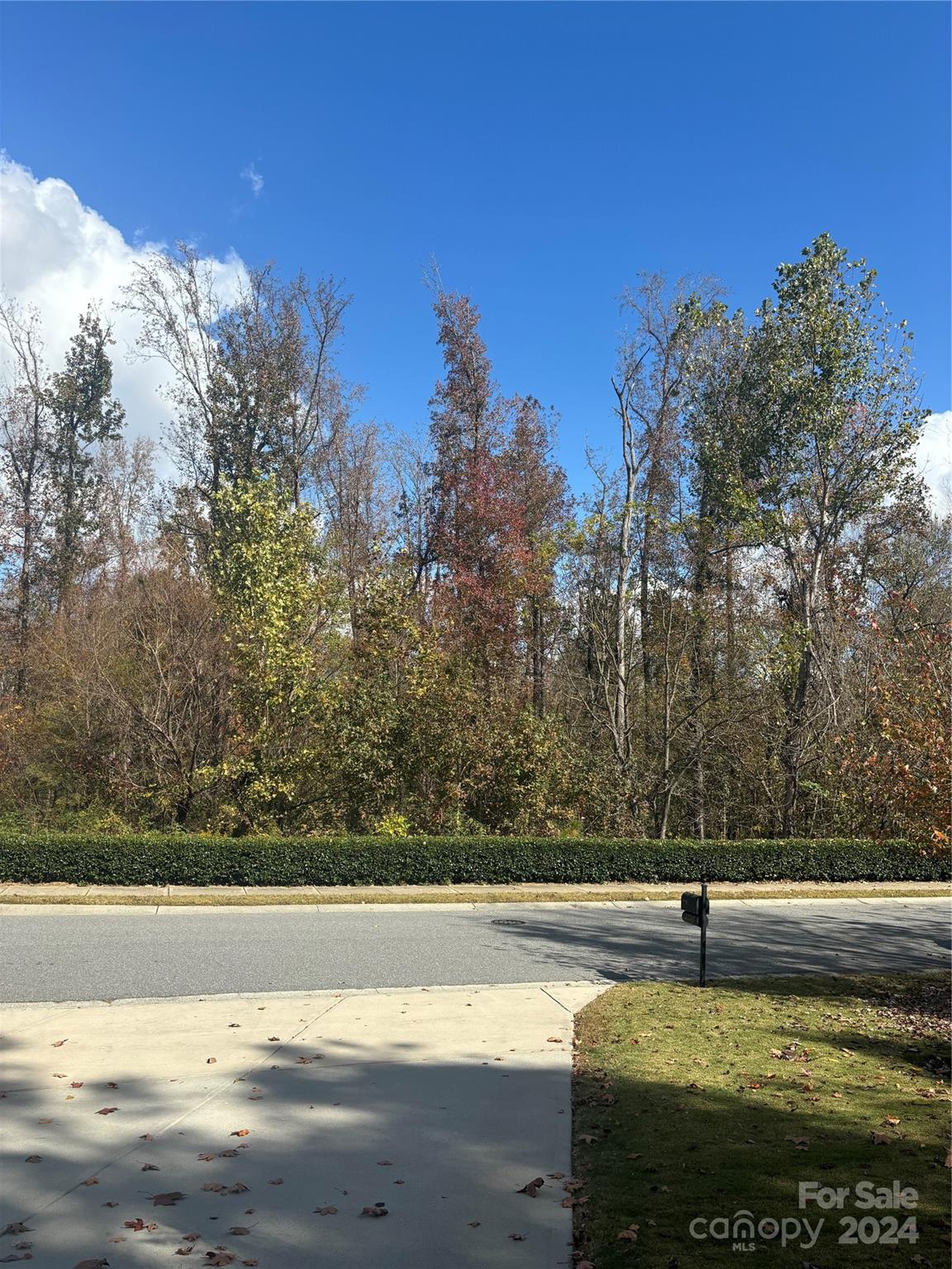 10745 Sapphire Trail