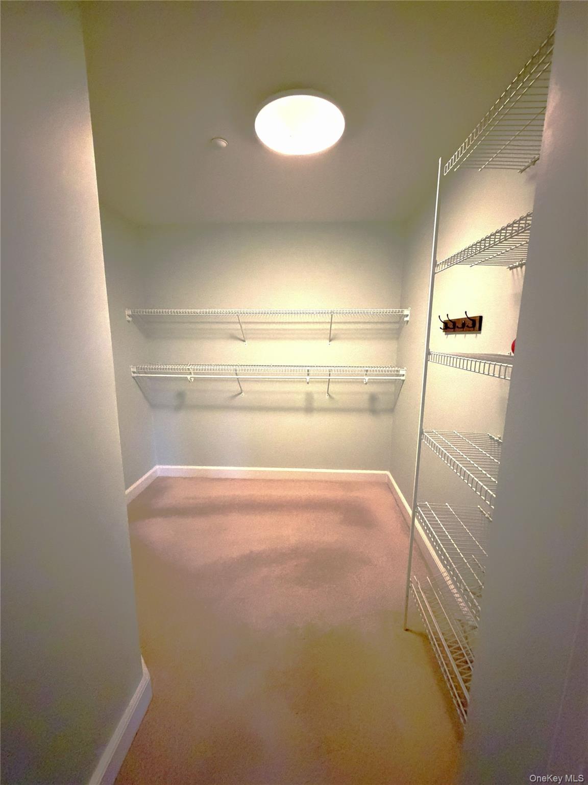 50 Merrick Avenue Unit: 226