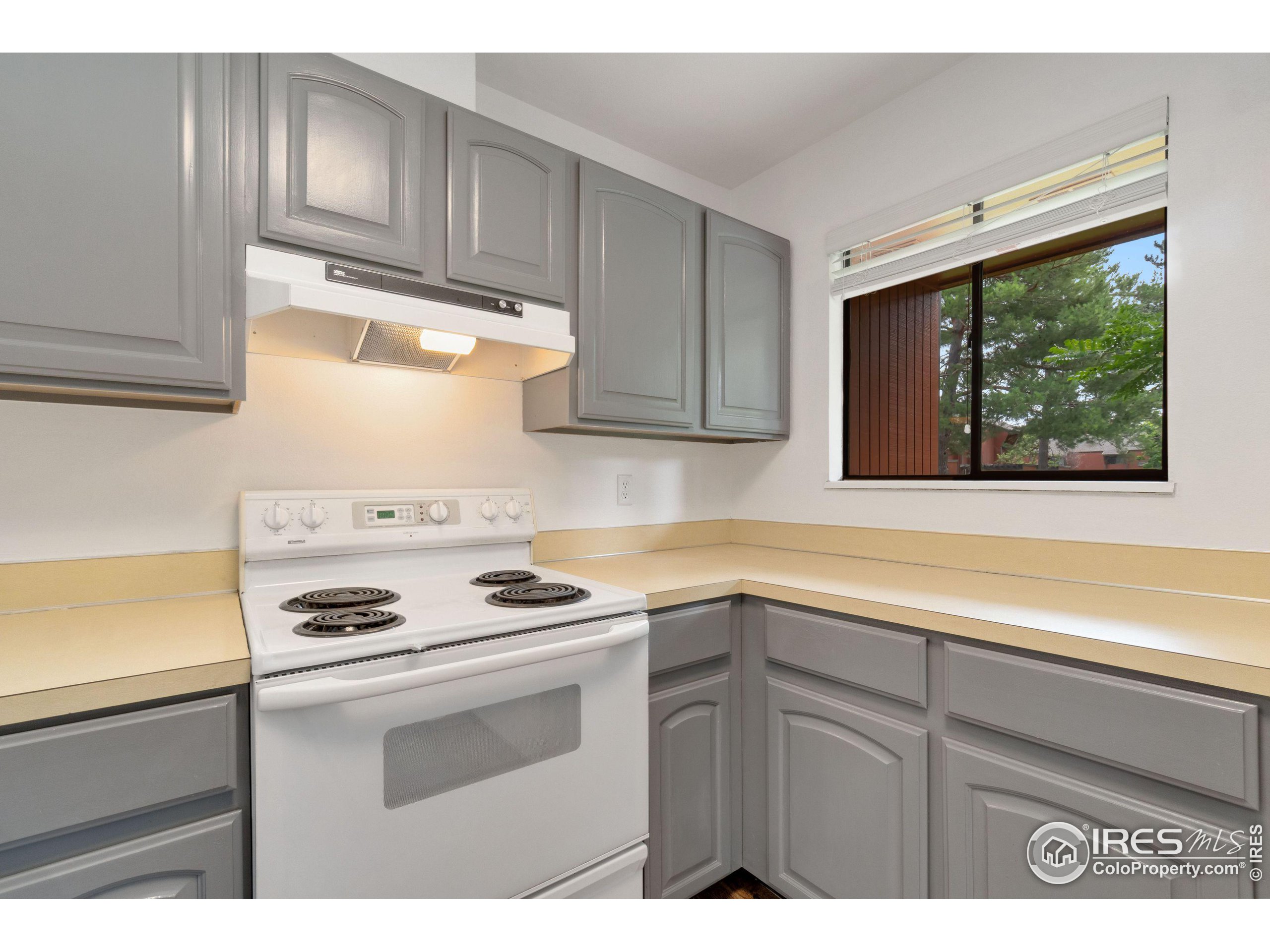 1625 W Elizabeth St D-1