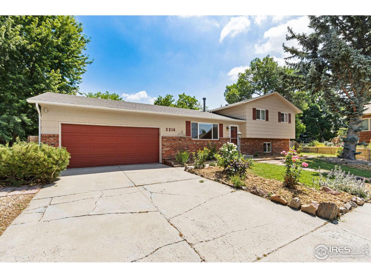 2216 Scotch Pine Ct
