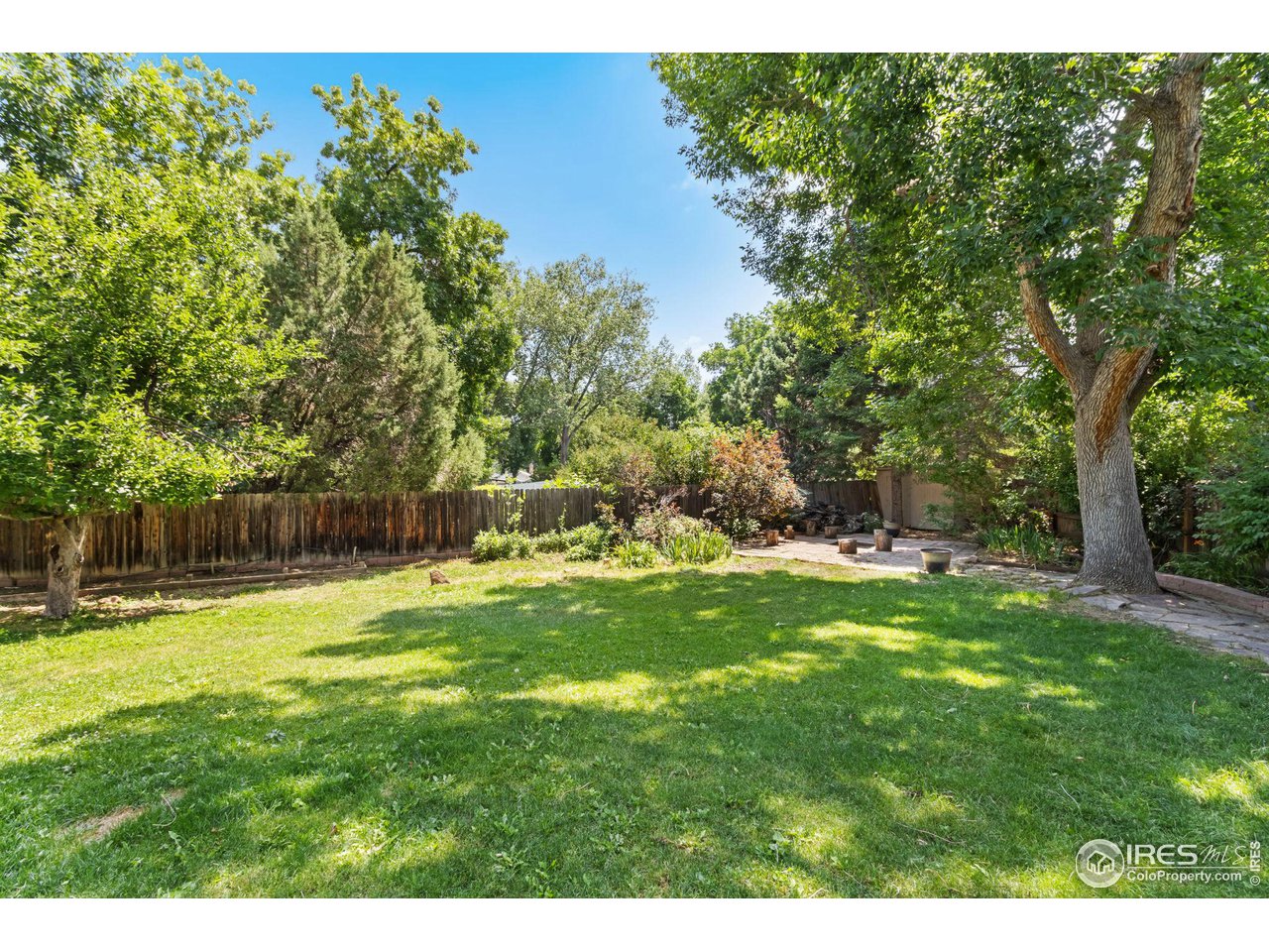 2216 Scotch Pine Ct