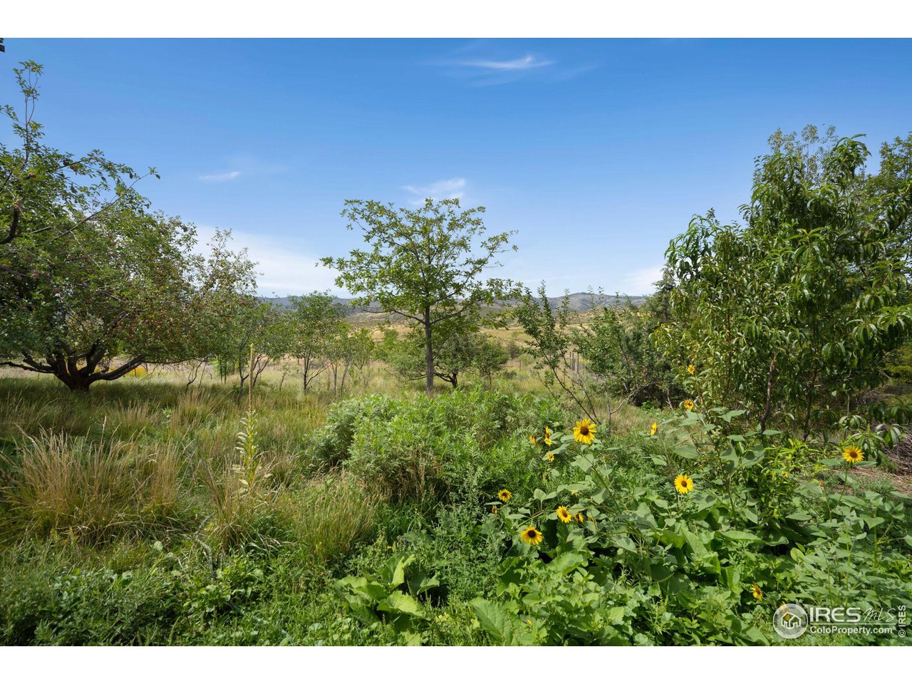6410 Placer Ct