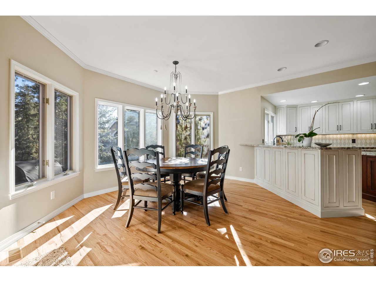 813 Whitehall Ct
