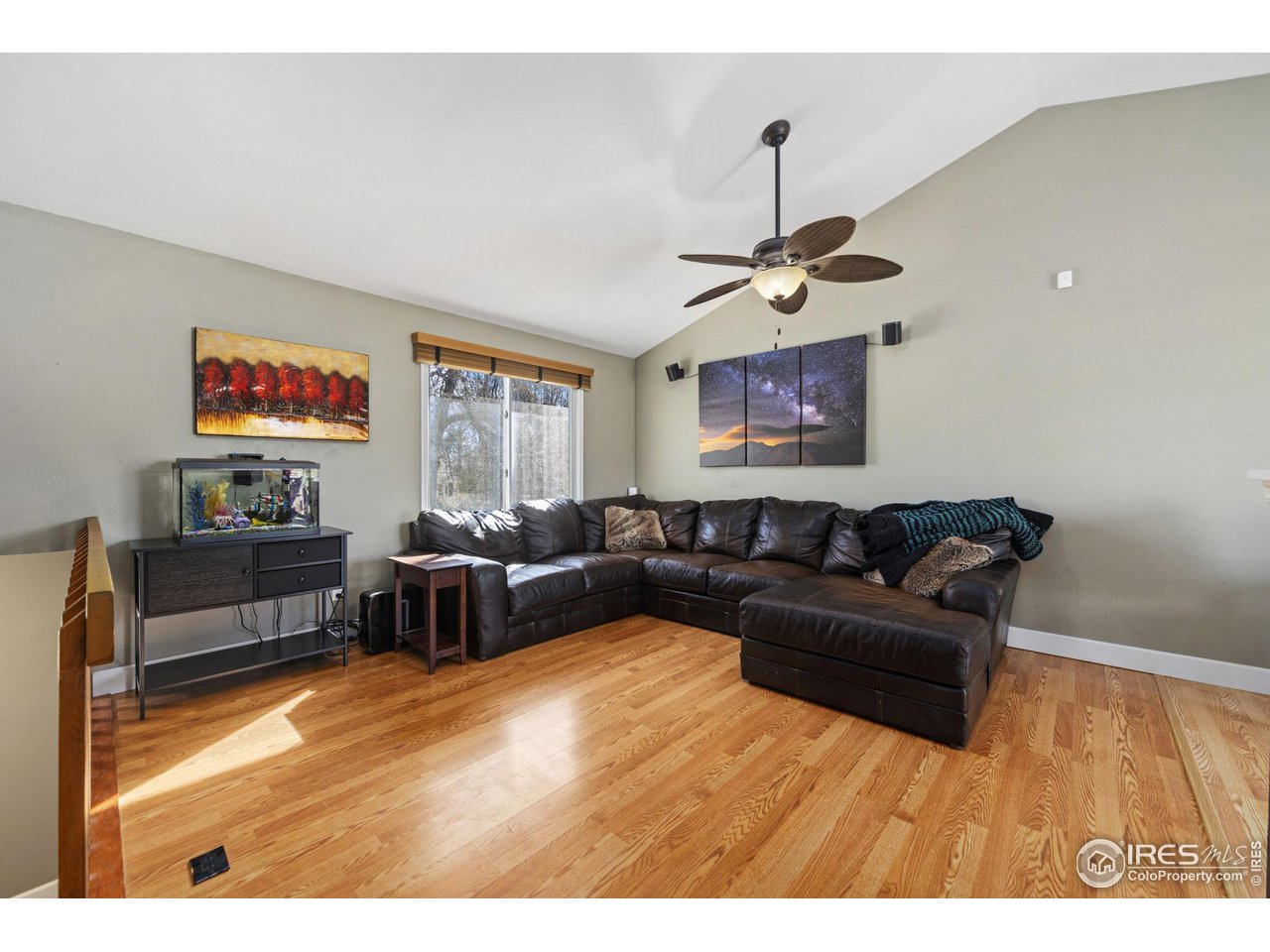 1036 Bitterbrush Ln