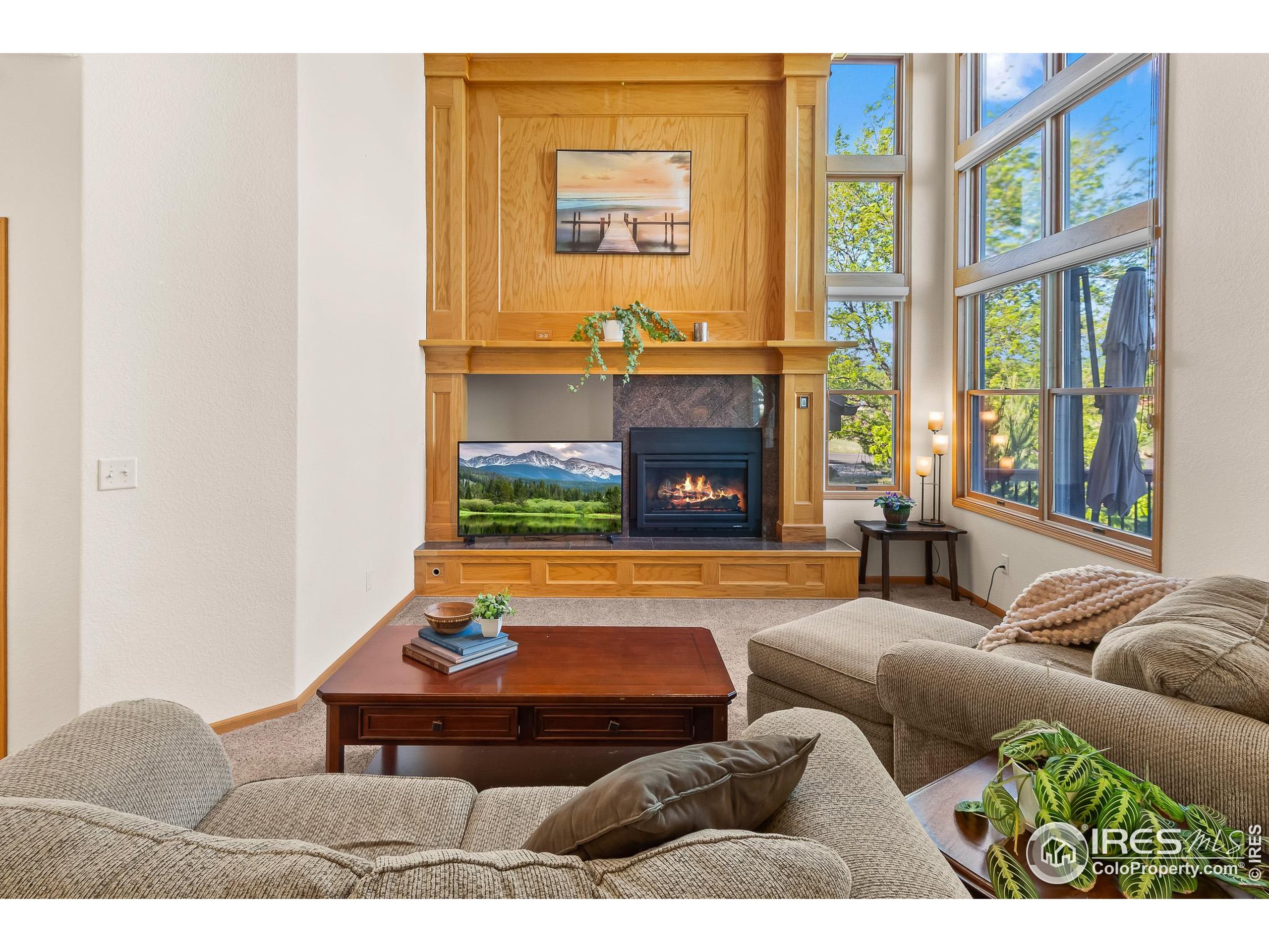 3020 Blue Mountain Ct