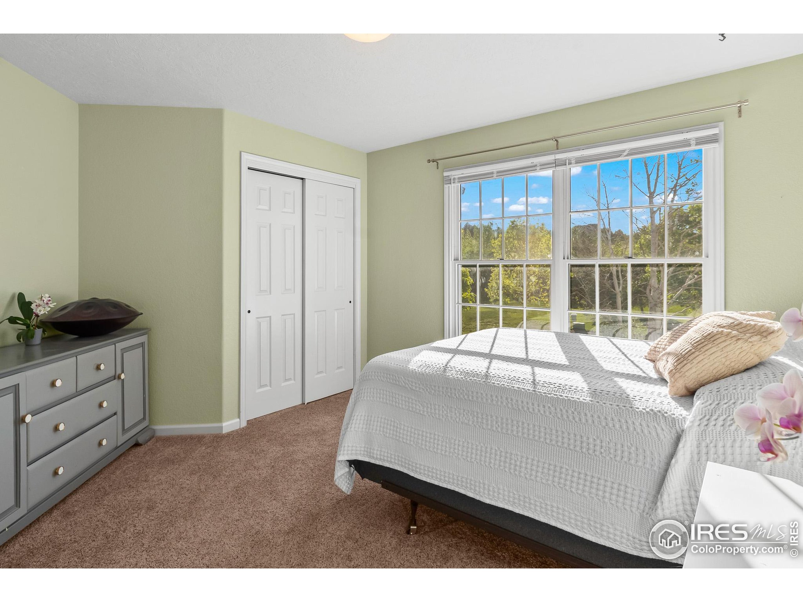 3020 Blue Mountain Ct