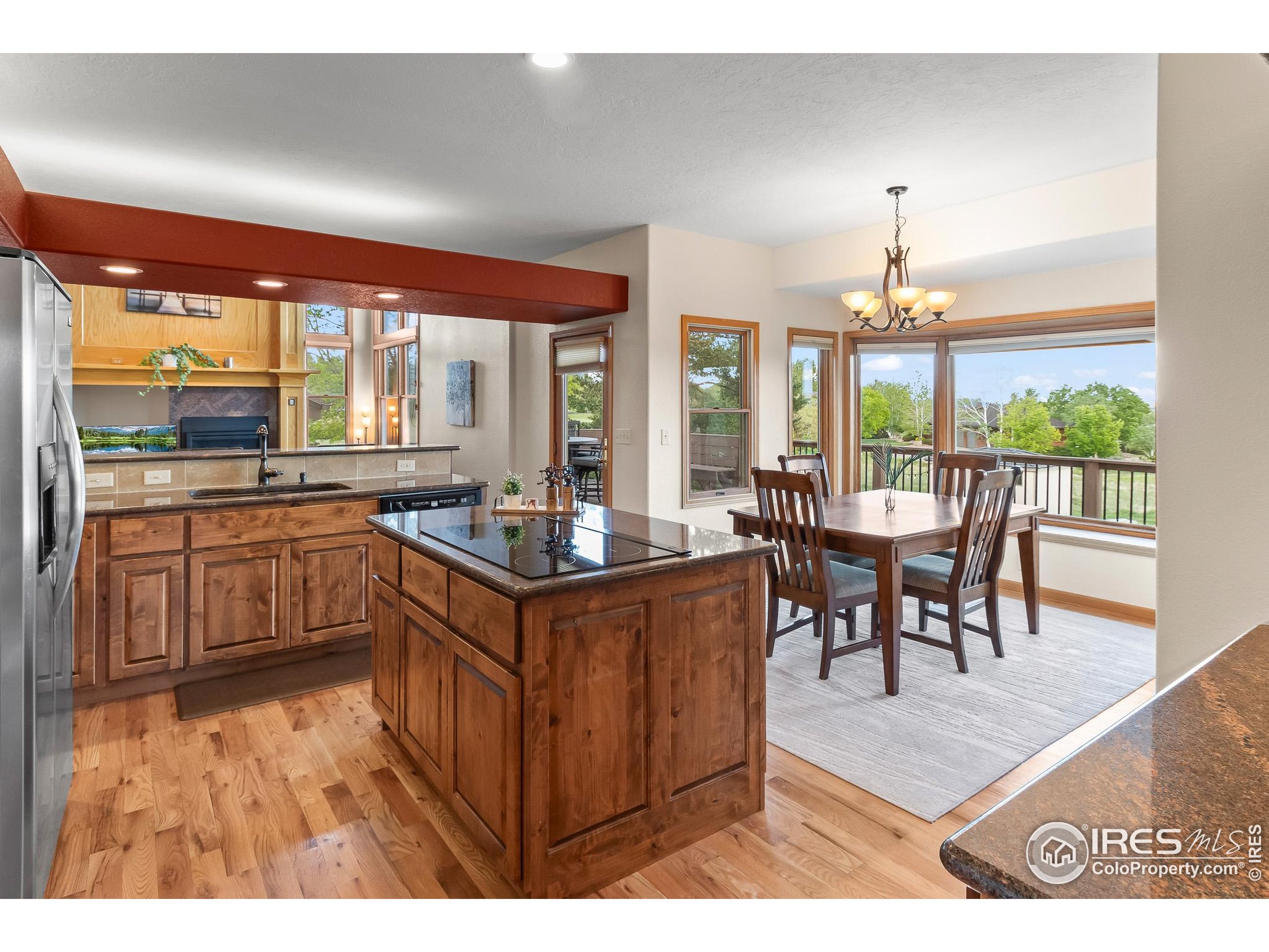 3020 Blue Mountain Ct