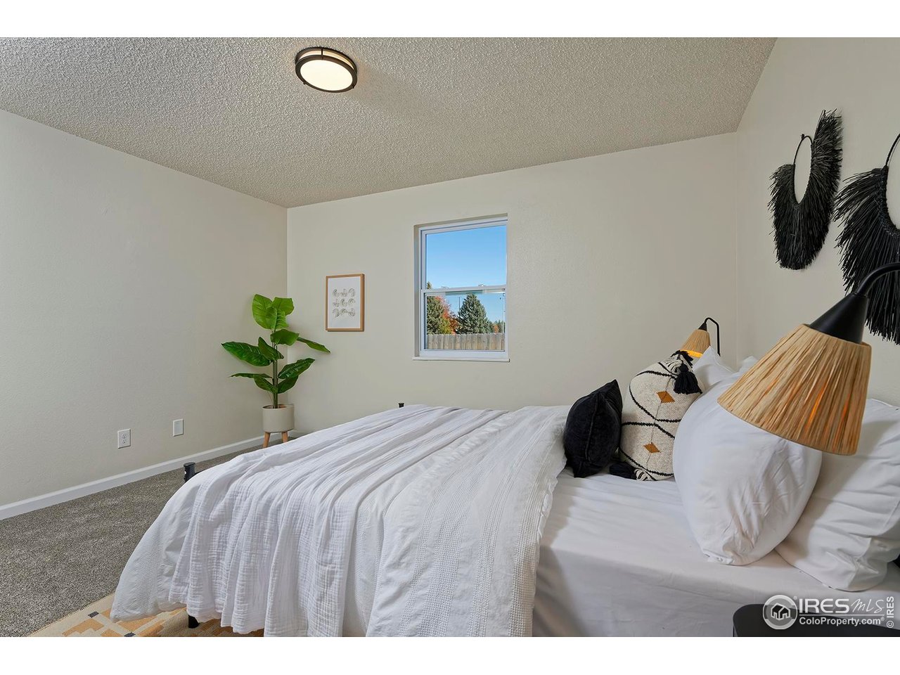 2018 Lincoln St Longmont