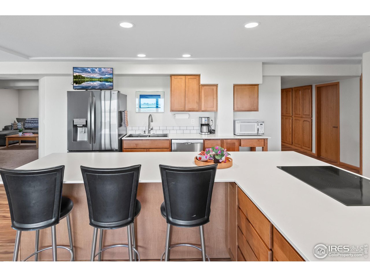 3020 Blue Mountain Ct