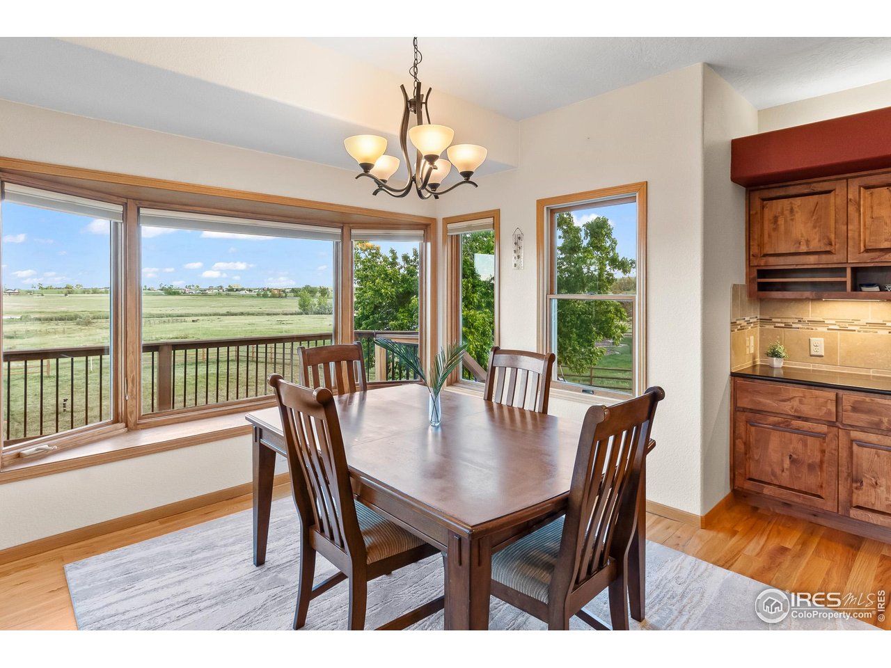 3020 Blue Mountain Ct