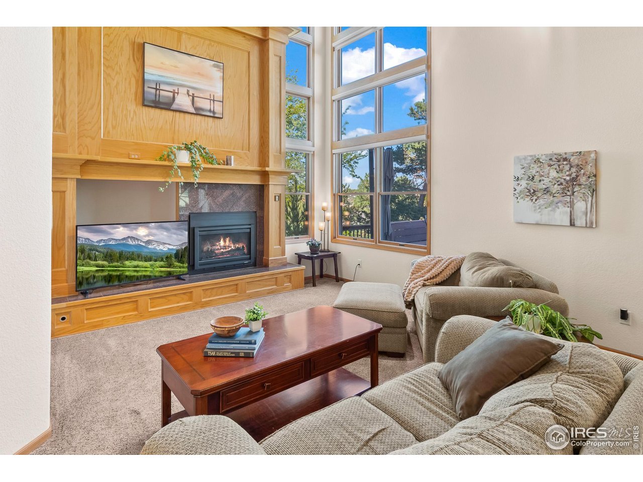 3020 Blue Mountain Ct