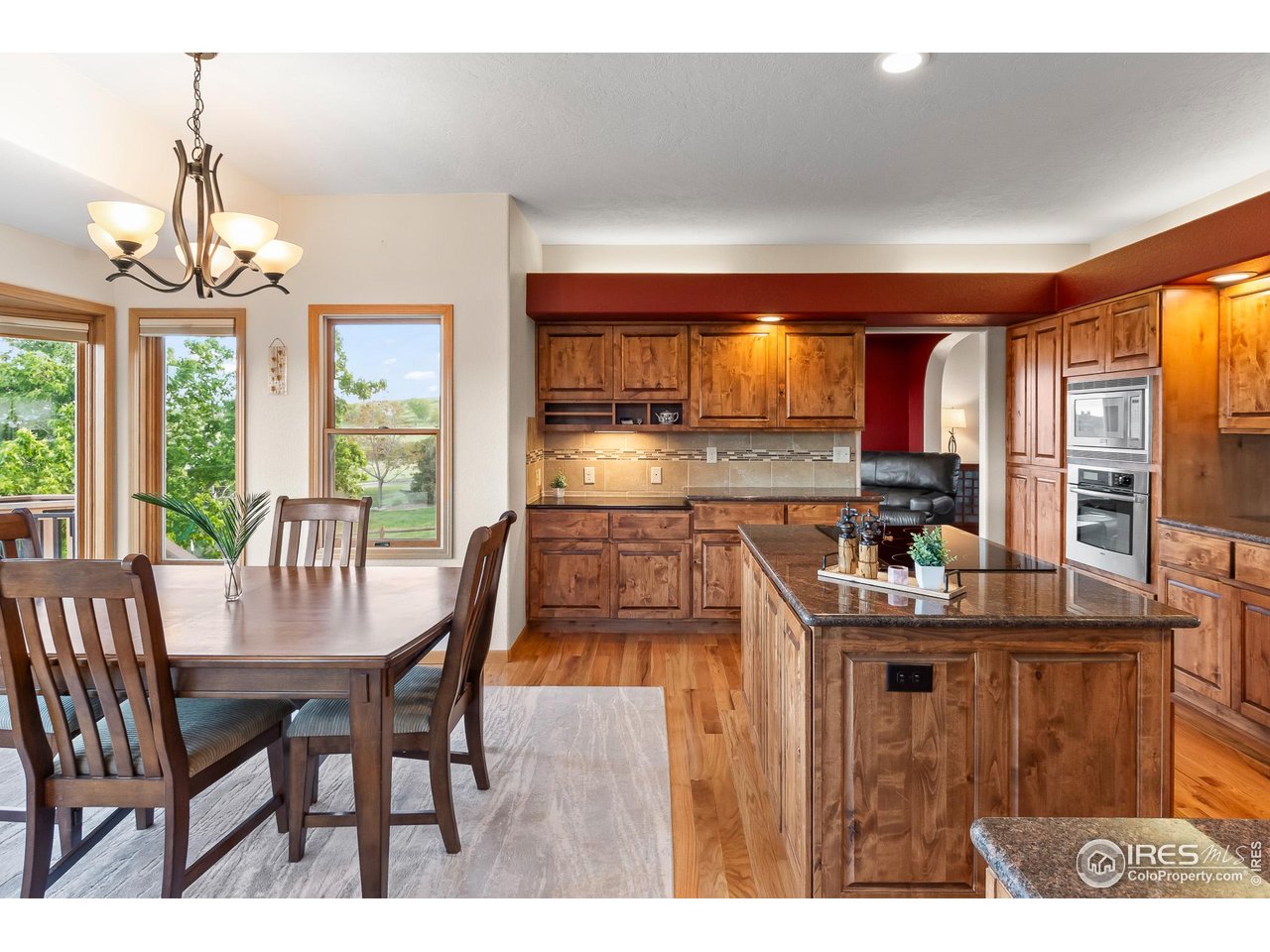 3020 Blue Mountain Ct