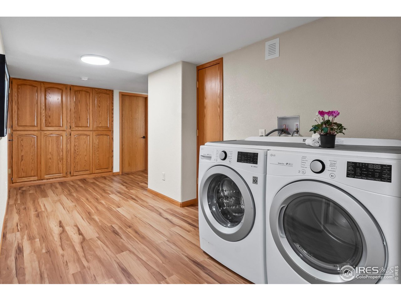 3020 Blue Mountain Ct