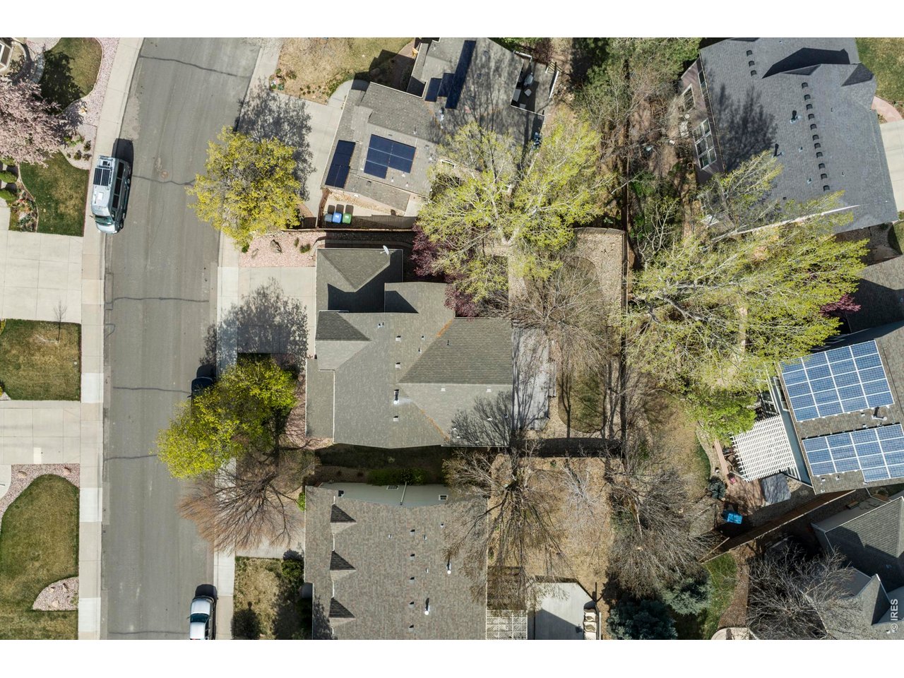 2508 Dallas Creek Ct