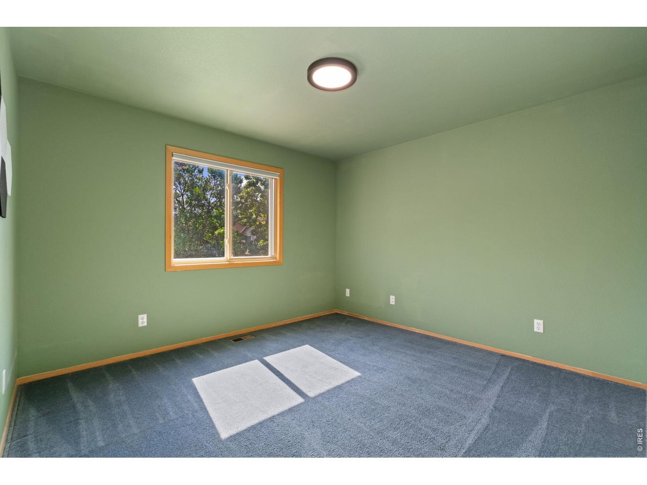 1556 Purple Sage Ct
