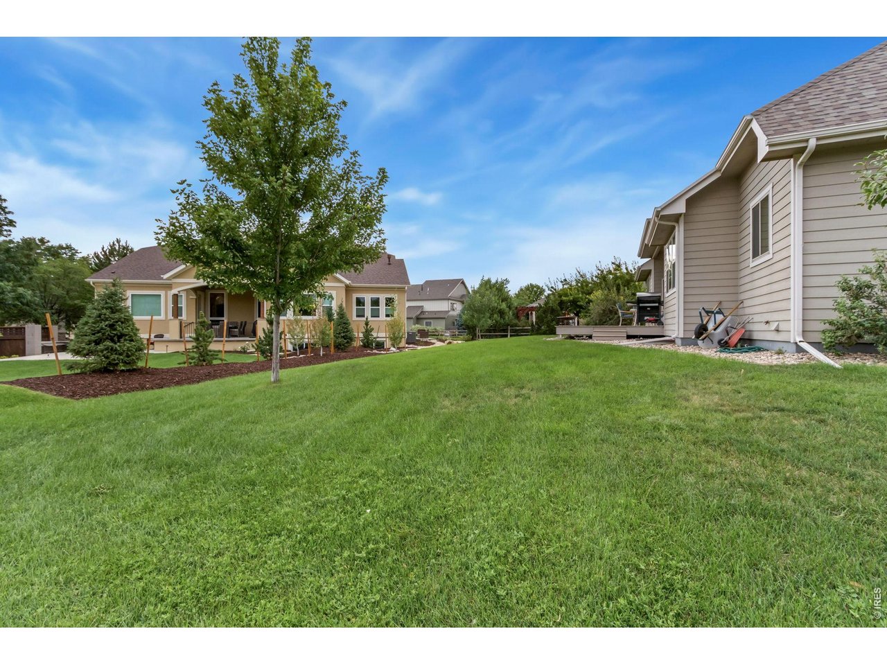 3314 Buntwing Ln