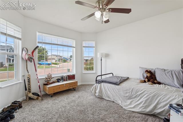 8231 Hidden Pine Drive
