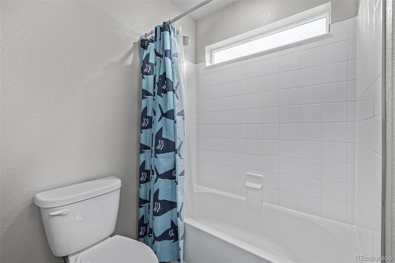 953 Morning Glory Road