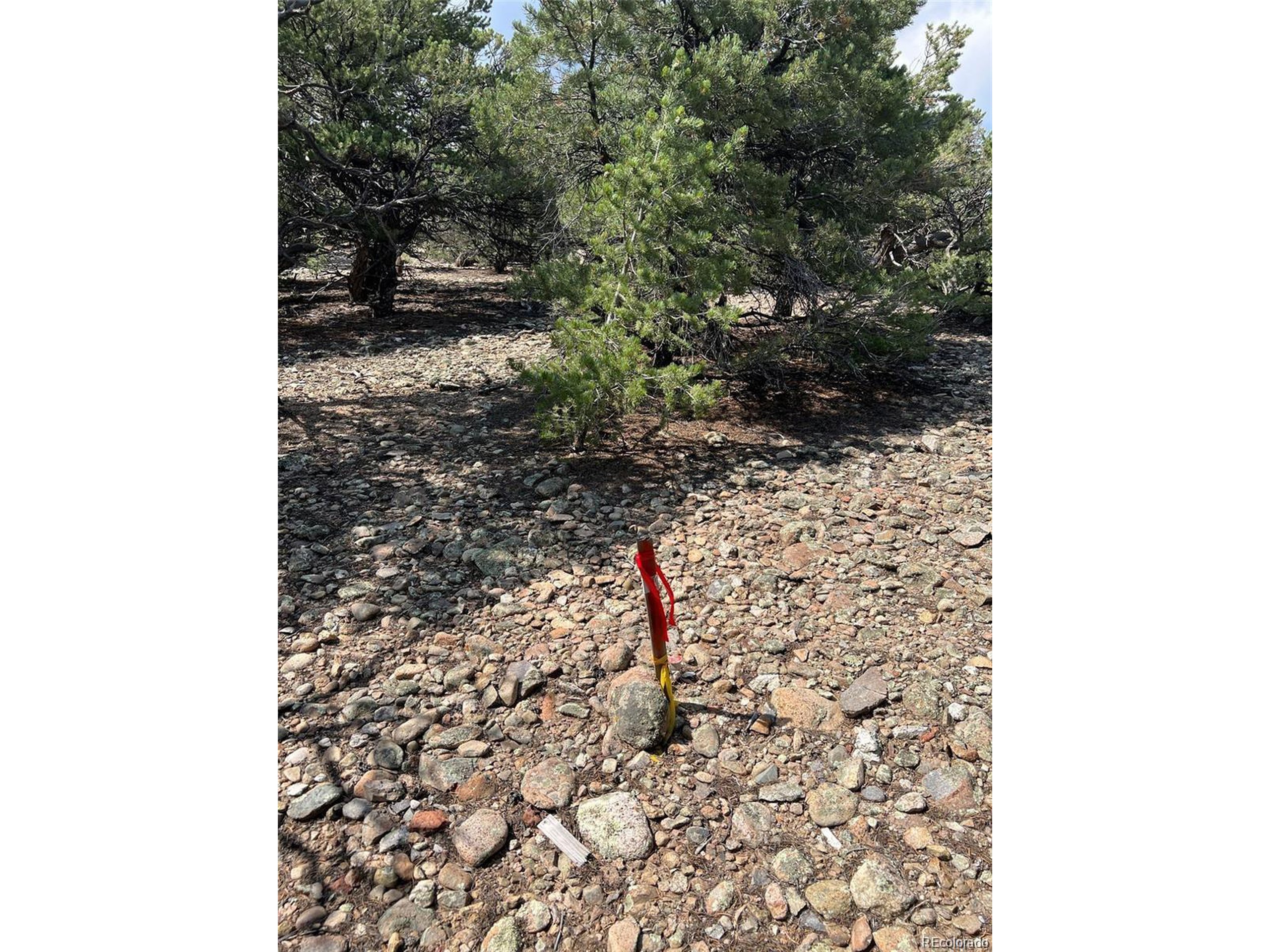 12240 Saddle Ridge Ln