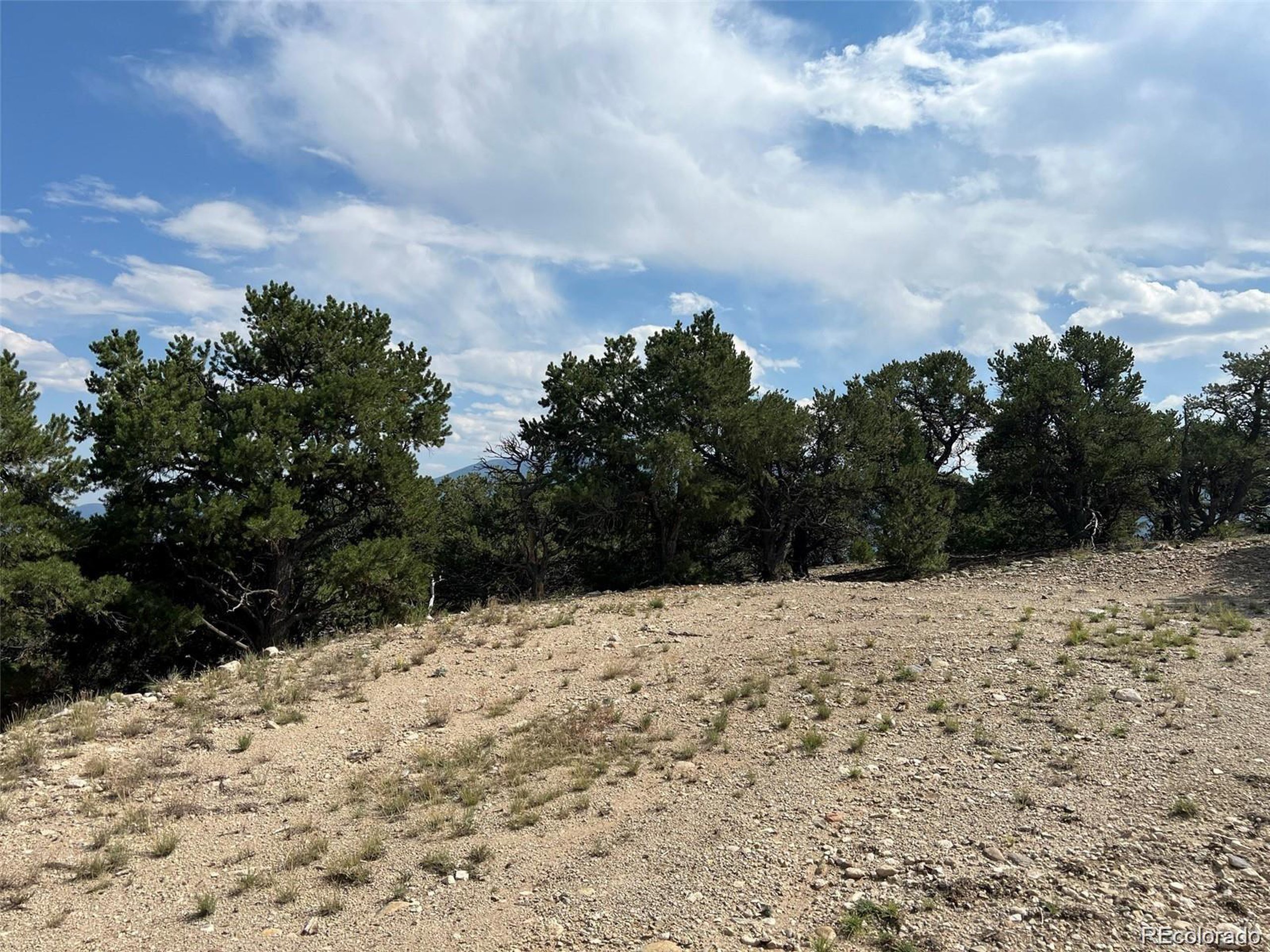 12240 Saddle Ridge Ln