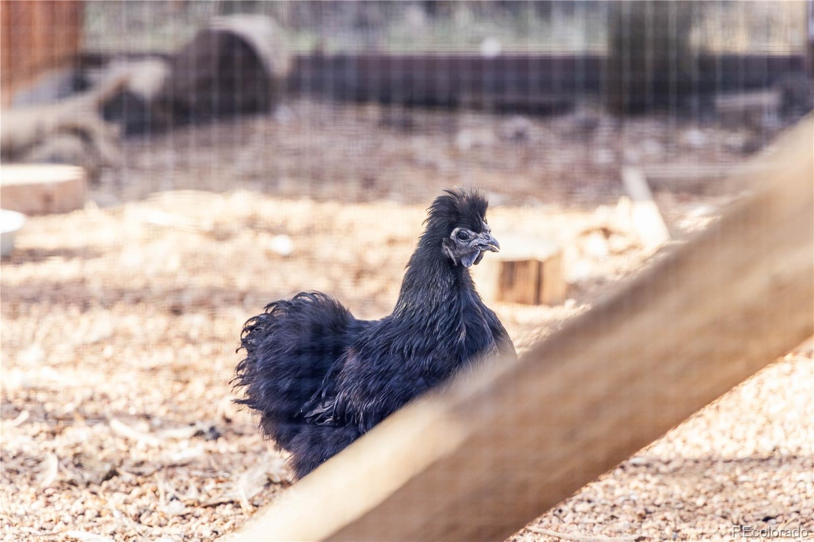 1712 Stonehenge Drive