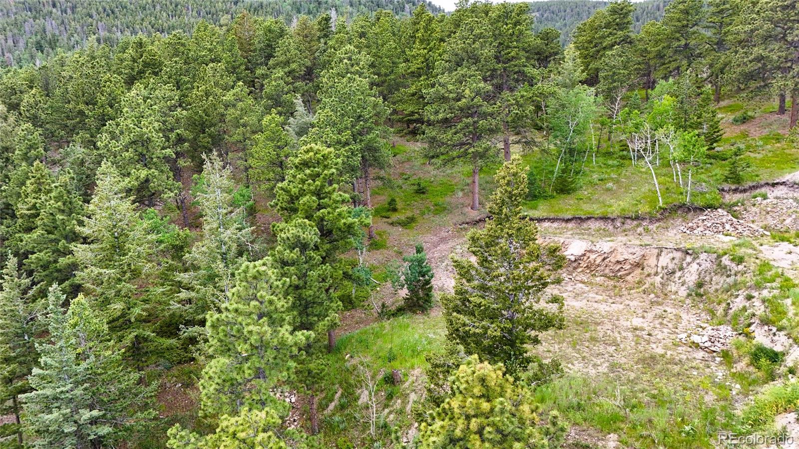 8077 Drew Hill Road