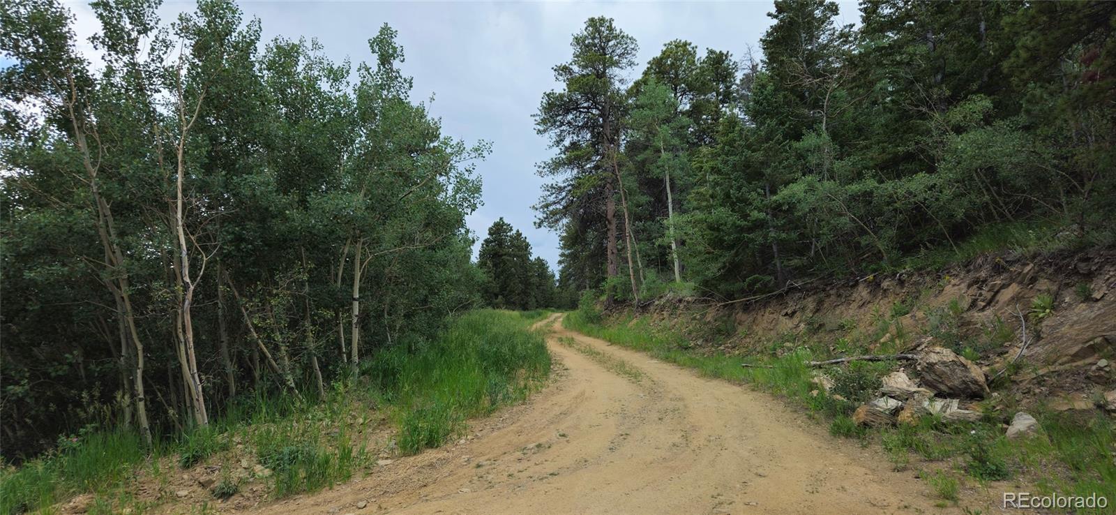 8077 Drew Hill Road