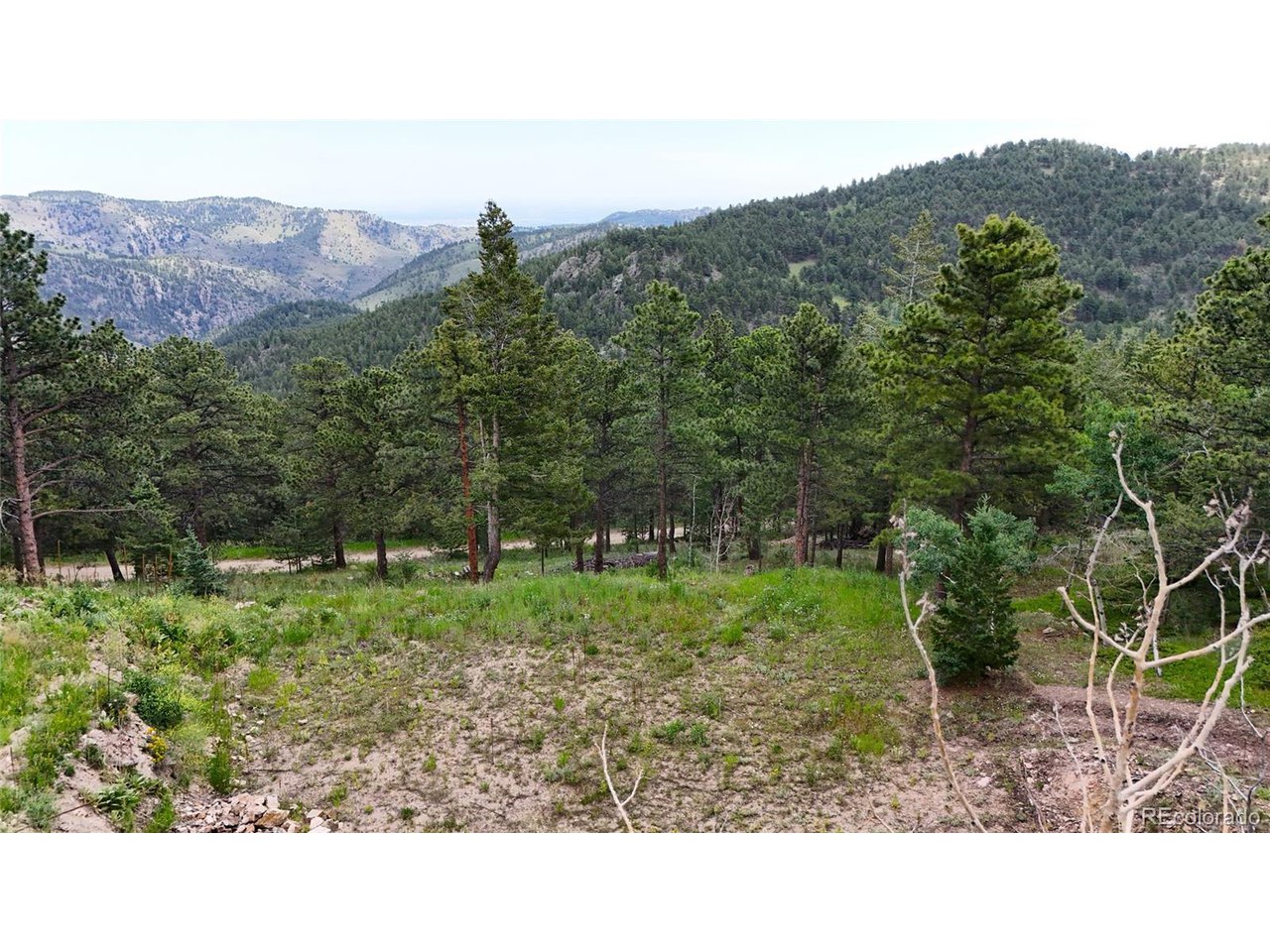 8077 Drew Hill Rd