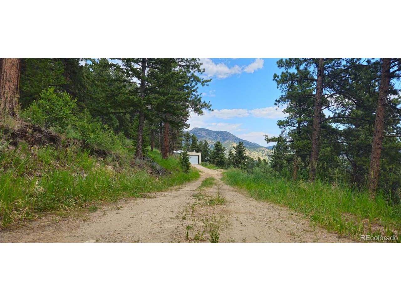 8077 Drew Hill Rd