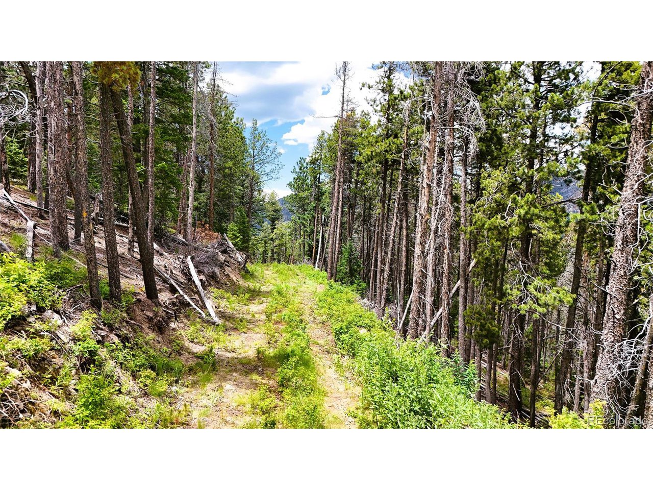 8077 Drew Hill Rd