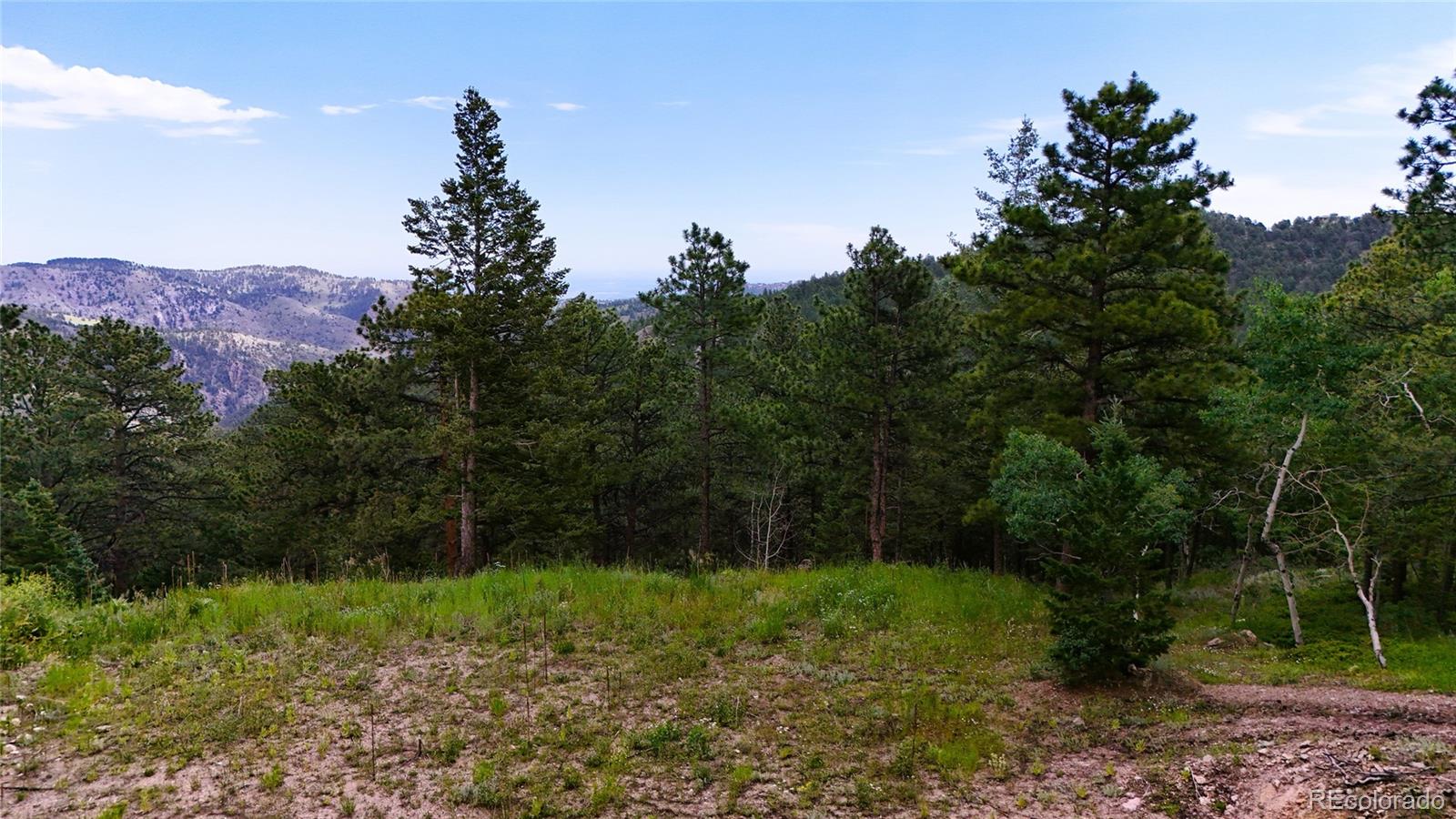 8077 Drew Hill Road