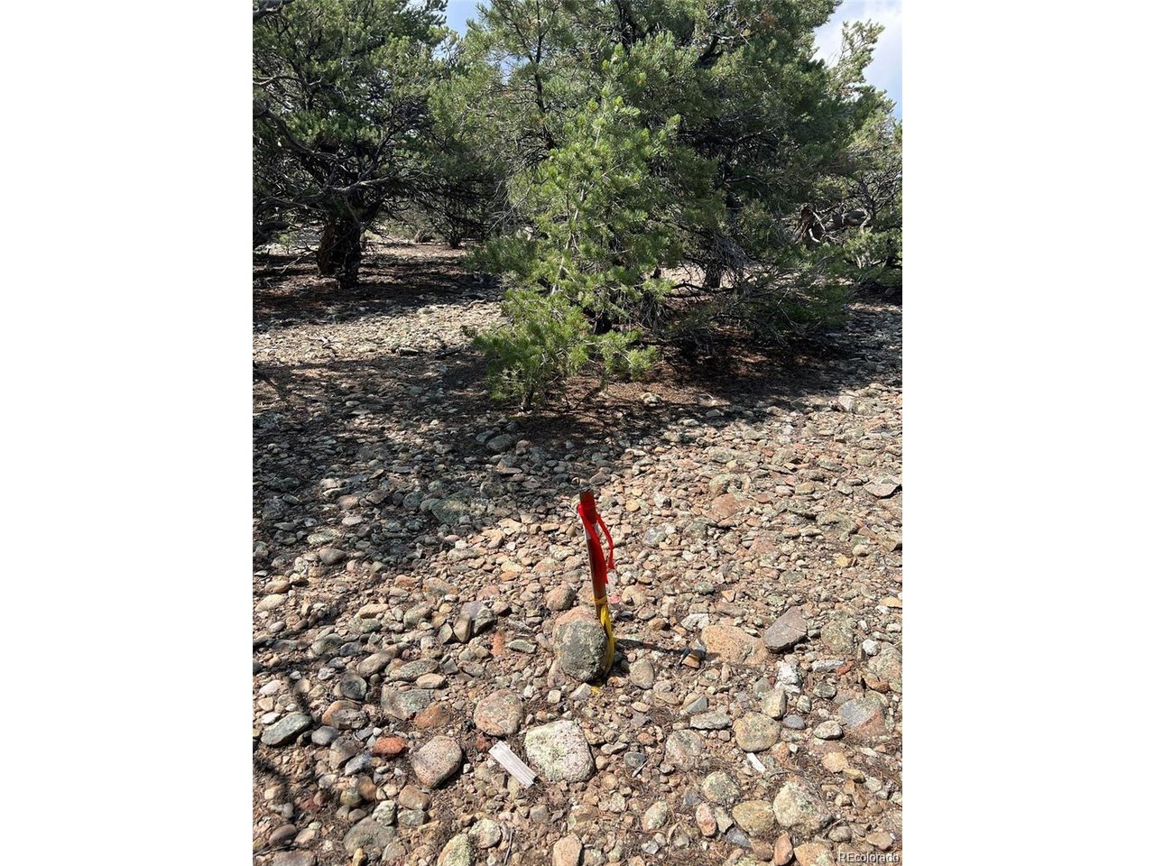 12240 Saddle Ridge Ln