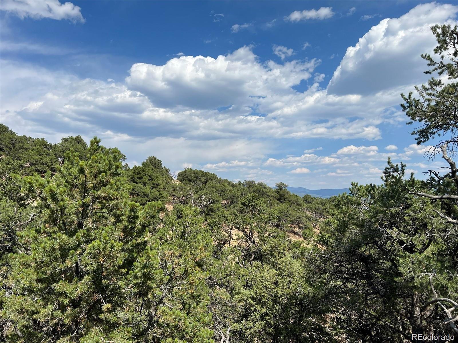 12240 Saddle Ridge Lane