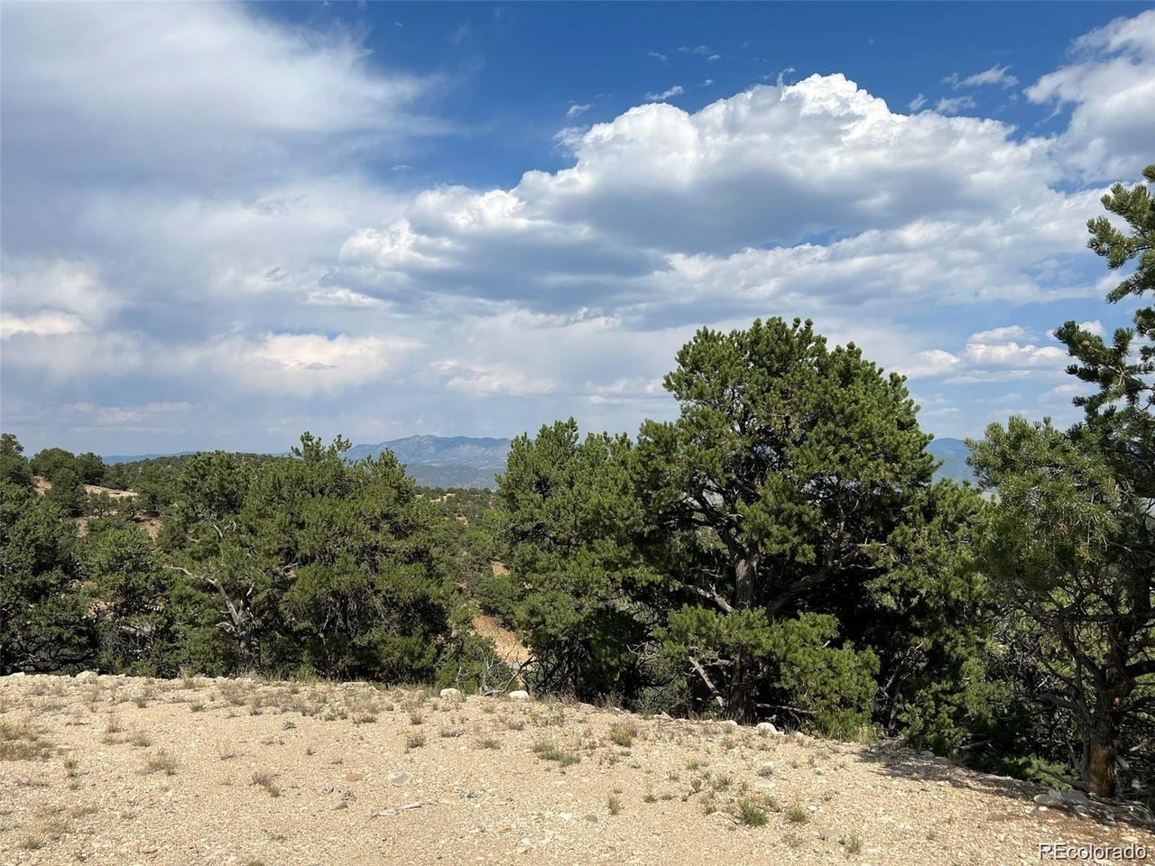 12240 Saddle Ridge Ln