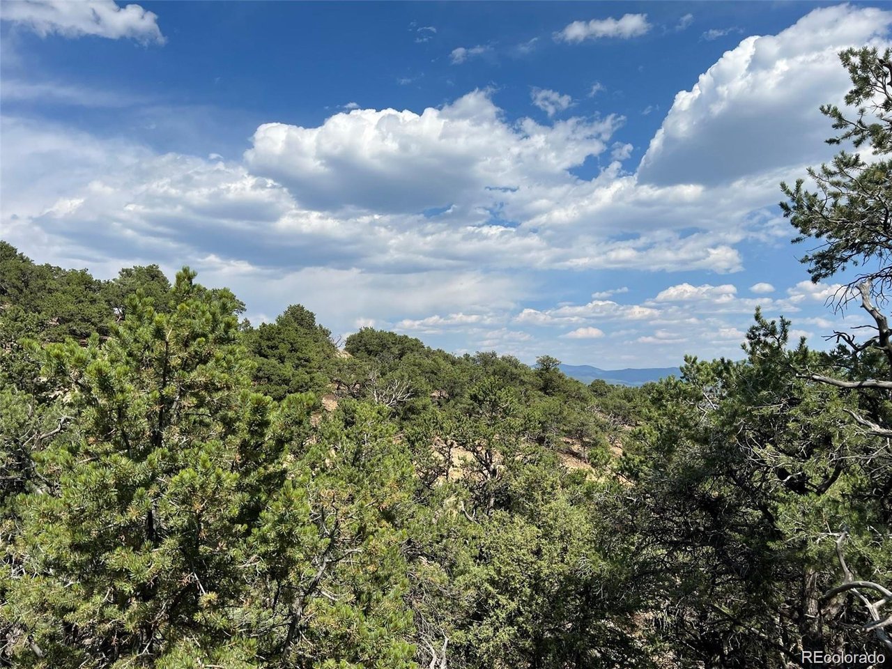 12240 Saddle Ridge Ln