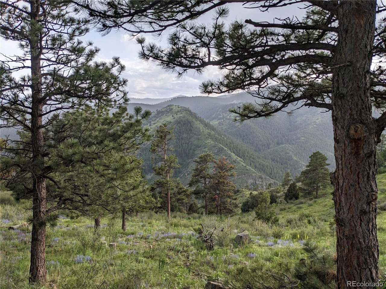 25421 Westridge Road Lot #1