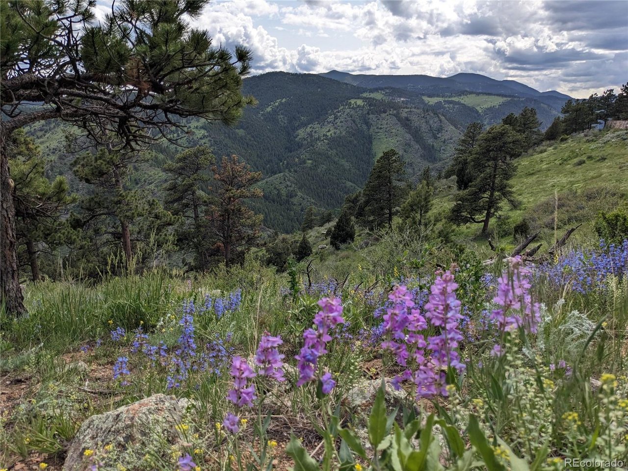 25421 Westridge Road Lot #1